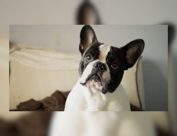 Understanding Life Insurance Options